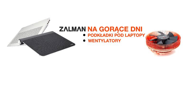 Zalman na gorące dni - gamedot.pl