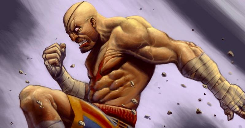 Producent Street Fightera IV zapowiada nową bijatykę Capcomu