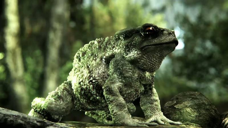 CryTek wprowadza specjalną, płatną usługę dla silnika CryEngine!
