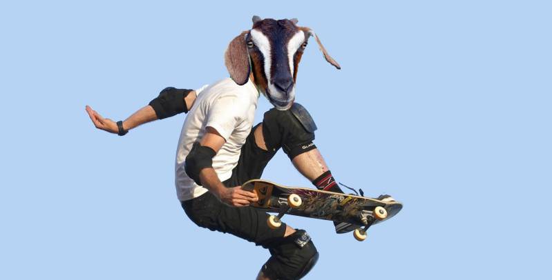 Symulator kozy wzoruje się na Tony Hawku