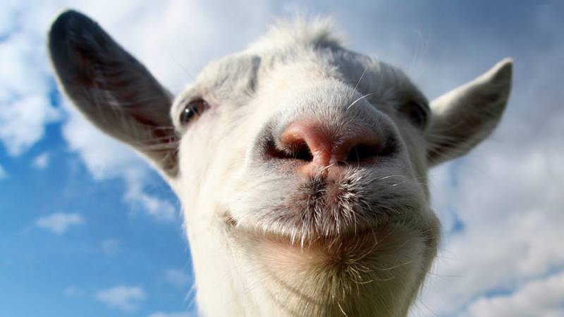 Recenzja gry Goat Simulator