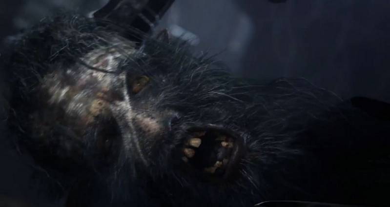 Bloodborne kradnie show! [E3 2014]