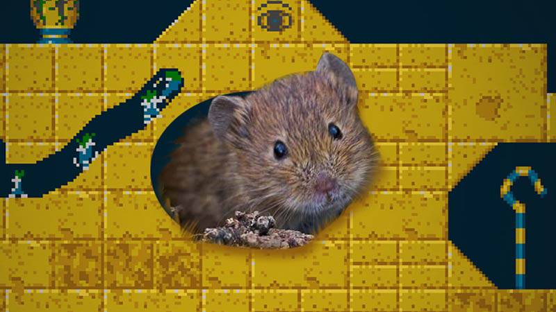 Gry stare ale jare #16 – Lemmings