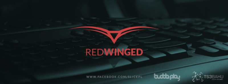 Wywiad z Kacprem „Flowbeatzem” Zdunkiem właścicielem organizacji E-Sportowej RedWinged