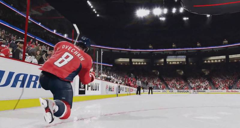 NHL 15 z lotu ptaka