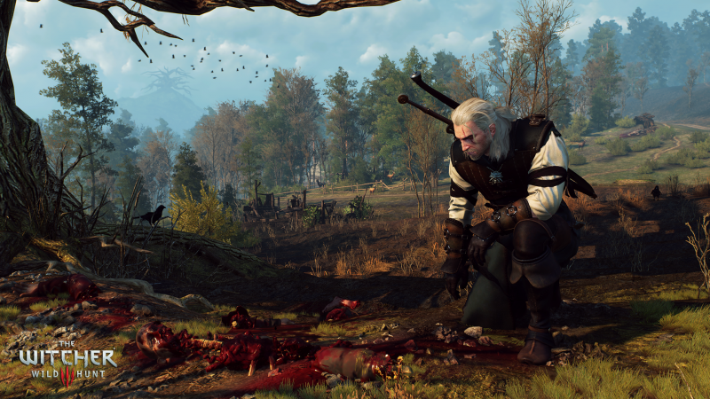 Wiedźmin: Dziki Gon – łatki i dodatki ważniejsze od trybu New Game Plus
