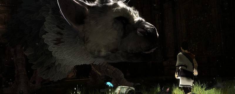 The Last Guardian pokazany na E3 2015!