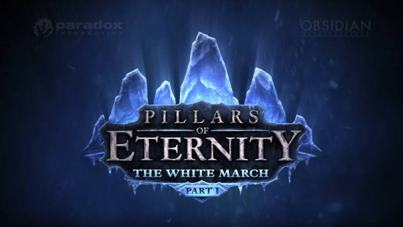 E3 2015: Pierwsze rozszerzenie do Pillars of Eternity ujawnione.