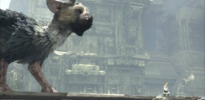 To gracze uratowali The Last Guardian - gamedot.pl