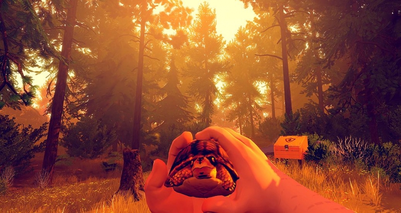 Firewatch w ujęciu TPP to niezły bajzel