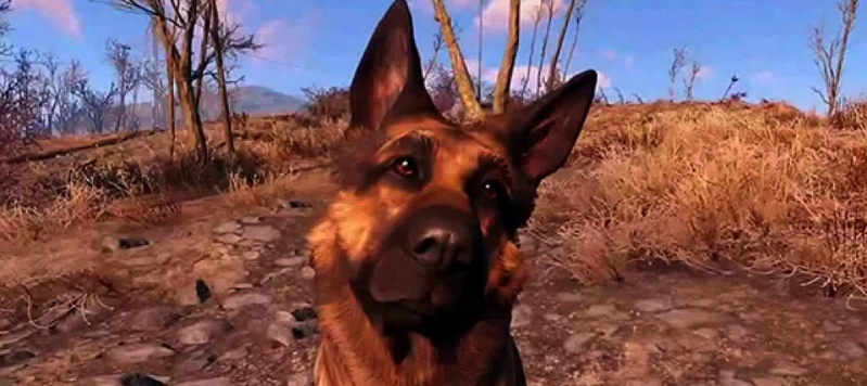 Graj jako Dogmeat, prawdziwy bohater Fallouta 4