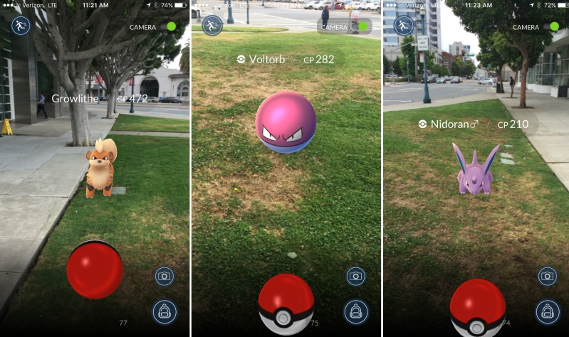 Rodząca żona czy Pidgey? Wybór jest oczywisty