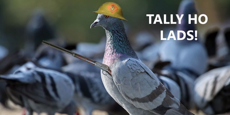 Pigeon War Mode w Battlefield 1