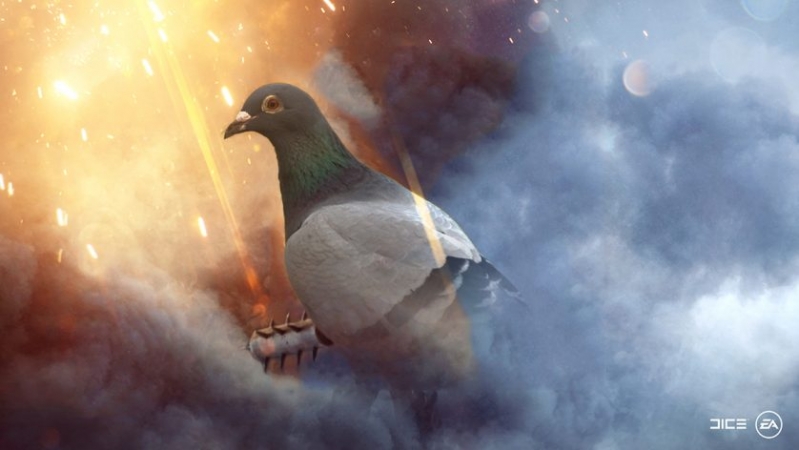 Pigeon War Mode w Battlefield 1 - gamedot.pl