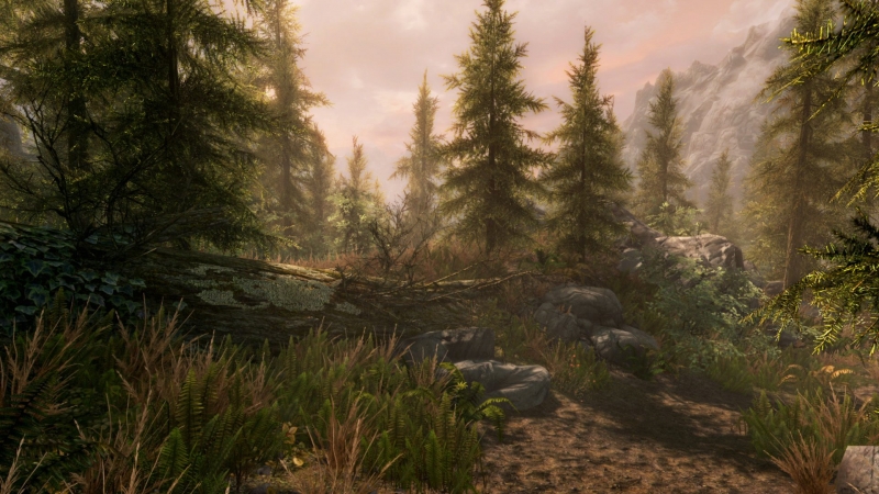 Ograniczenia i więcej ograniczeń Skyrim Special Edition