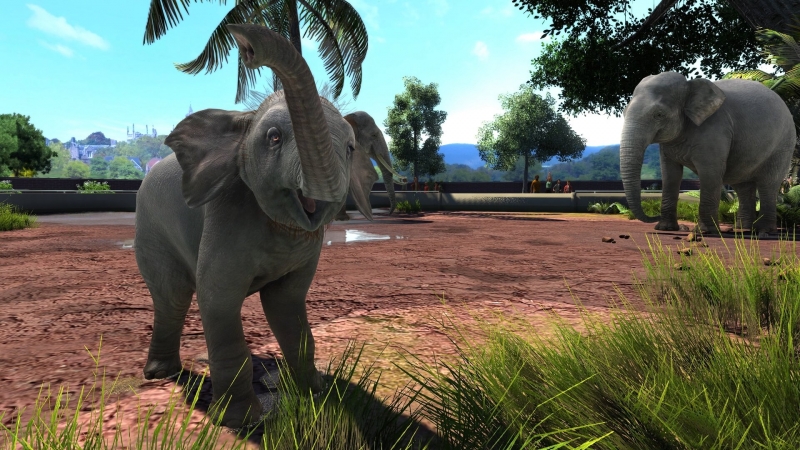 Zoo Tycoon powraca w Ultimate Animal Collection!