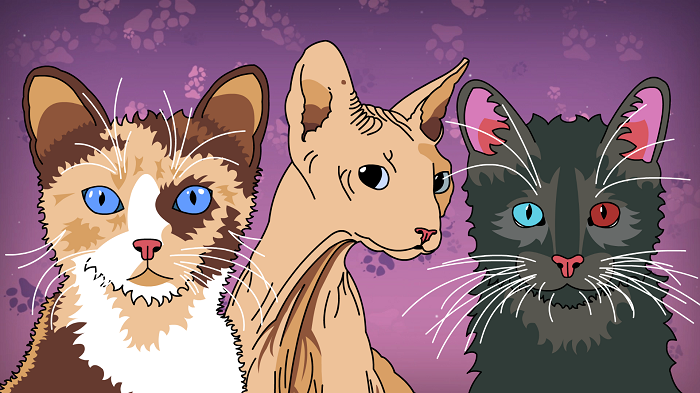 Purrfect Date, czyli nietypowa gra o kotach ukaże się w grudniu